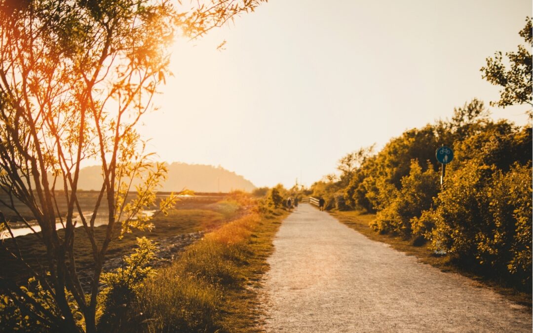 psicologia-terapia-apego